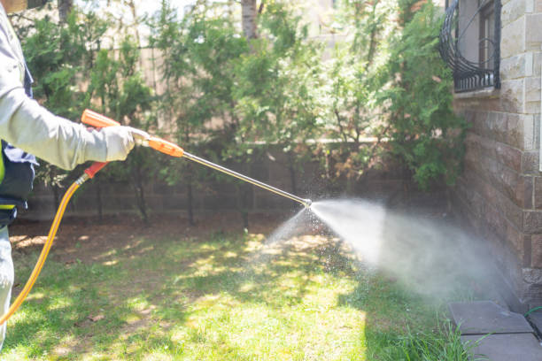 Seasonal Pest Control (e.g., summer mosquitoes, winter rodents) in Langdon, ND